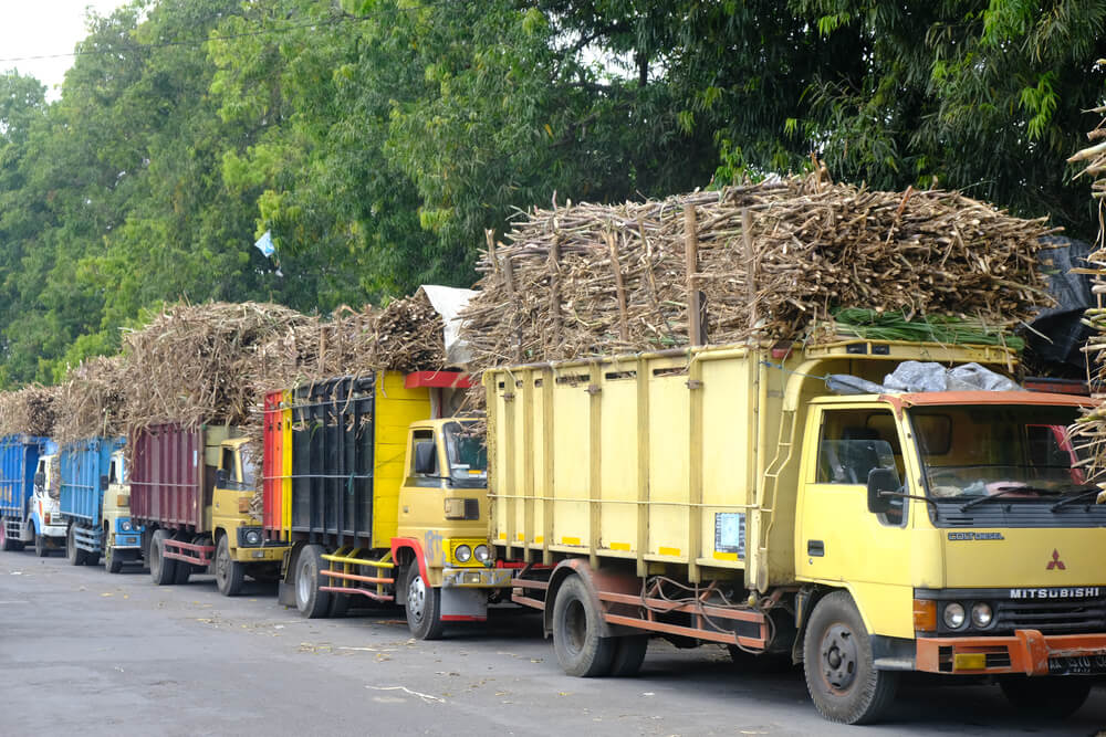 Bahaya Kelebihan Muatan Yuk Kenali Apa Itu Odol Dan Aturannya Seva